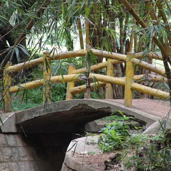 Meditation - Bridge of Life by Marc Moisi, Md, Image 1.