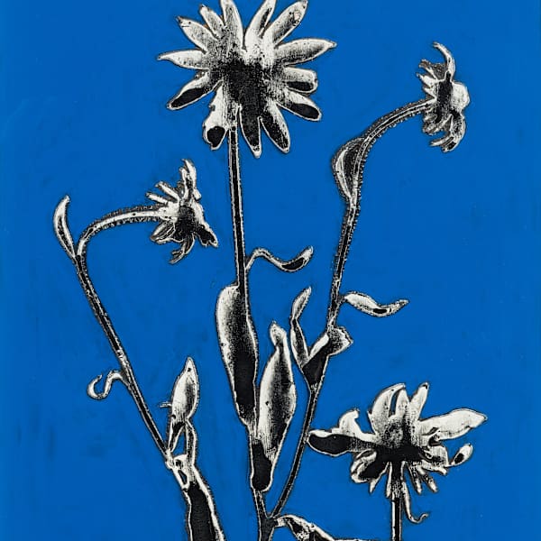 Black-Eyed Susan by Naomi Savage, Image 1.