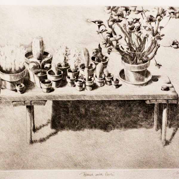 Bench With Cactii by Pat Hardy, Image 1.