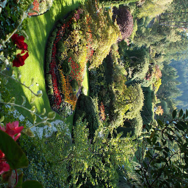 The Butchart Gardens by Kate Sarkaria, Image 1.