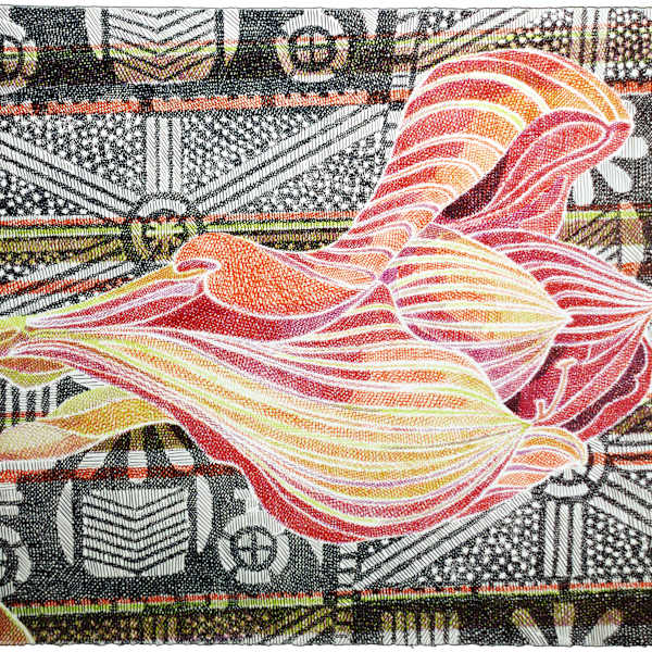 Amaryllis on Adire Cloth by Laura Grosch, Image 1.
