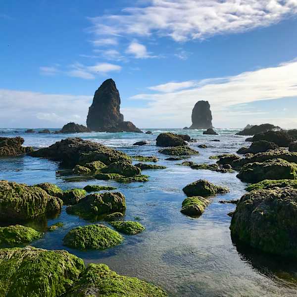 Low Tide by Mei Rui, Image 1.