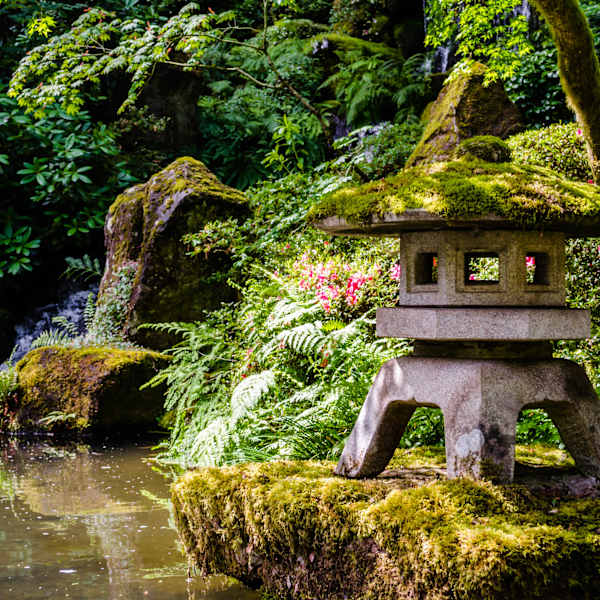 Zen Pond by David Joseph, MD, Image 1.