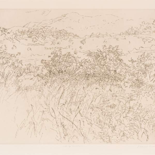 Big Meadows by Jeanne Richards, Image 1.