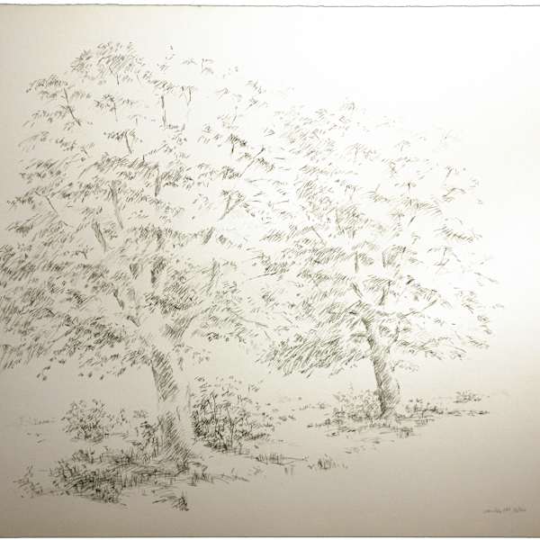 Two Trees by Joel Goldblatt, Image 1.