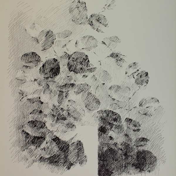 Still Life & Light by Joel Goldblatt, Image 1.