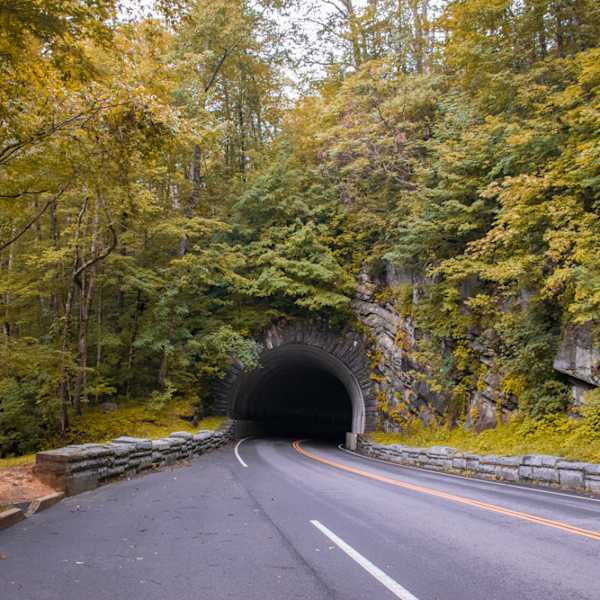 Road by Laura Torres, Image 1.