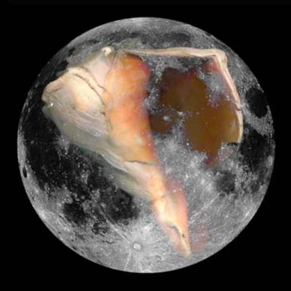 Ancestors by Cynthia Farnell, Image 1.