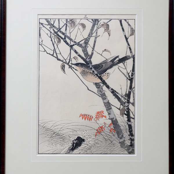 Thrush by Imao Keinen (1845-1924), Image 1.