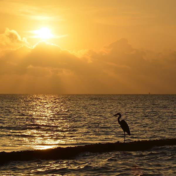 Sunrise by Rosa Salinas, Image 1.