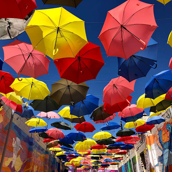 The Umbrella Alley by Lyn Patron, BSN RN RNBC, Image 1.