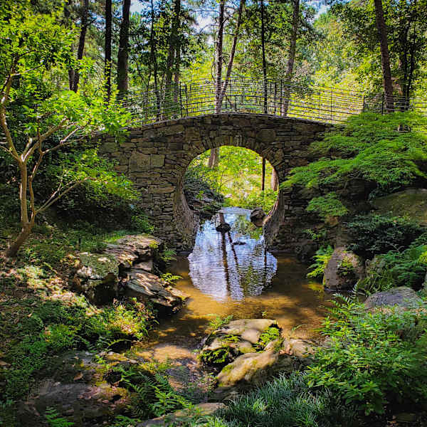 The Dream Bridge by Ryan Obremski, RN, Image 1.
