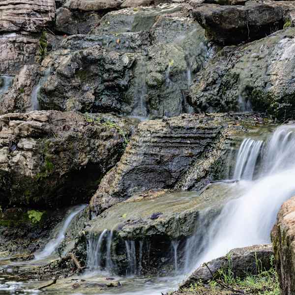 In Touch with Nature by Maxine Douglas, RPh, Image 1.