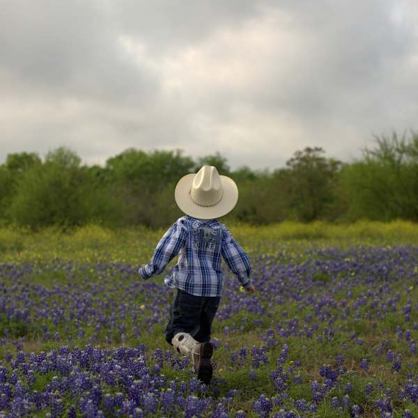 Bluebonnet Run by Shannon Chase Weck, Image 1.