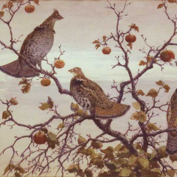 Grouse and Apples by Aiden Lassell Ripley, Image 1.