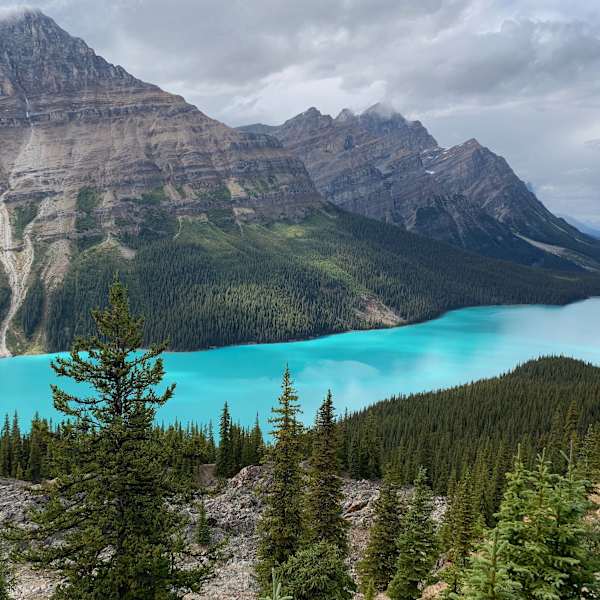 The Glacial Fox by Kaetlyn Bartels, RN, Image 1.