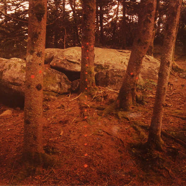 Red Arrow, Roan Mountain, North Carolina by John Pfahl, Image 1.