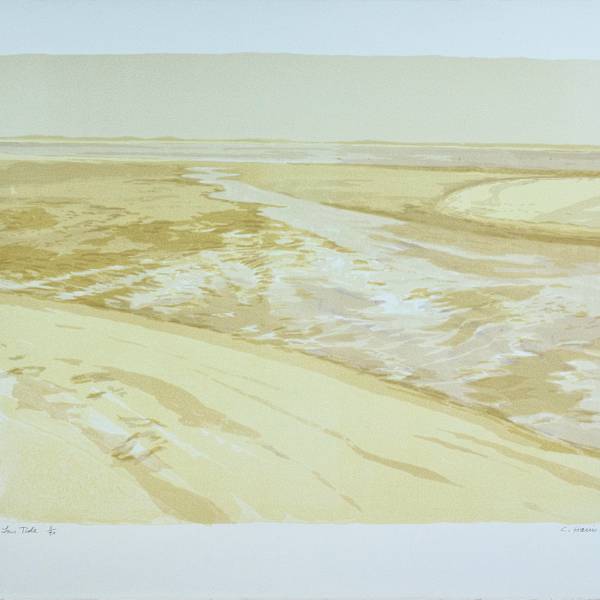 Low Tide by Conley Harris, Image 1.
