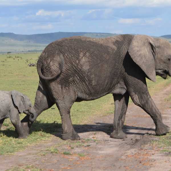 Mom and Baby by Becky Christensen, Image 1.