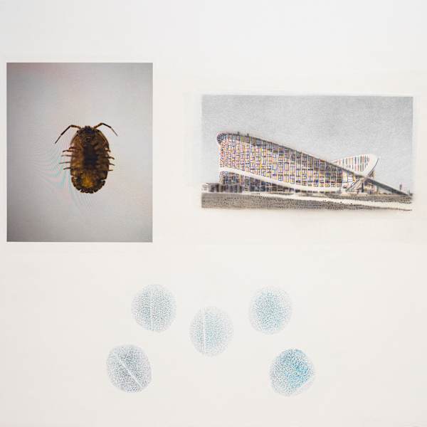 Implementalist Papers: Dorton Arena, NC State Fair by Tyler Starr, Image 1.