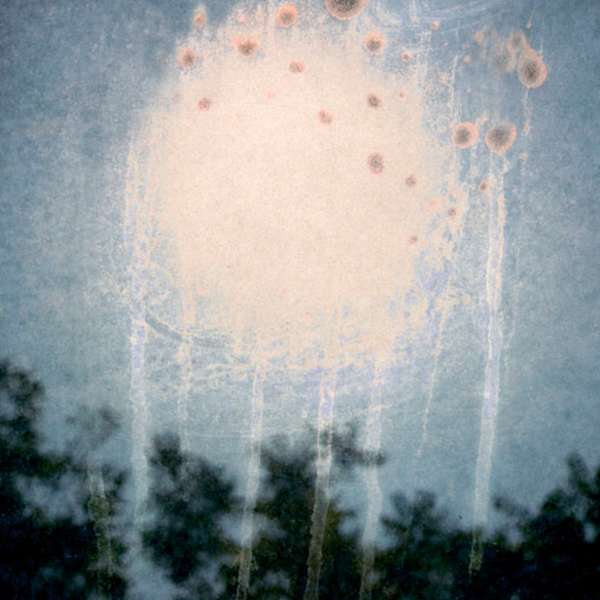 Into the Sun 40 by Elijah Gowin, Image 1.