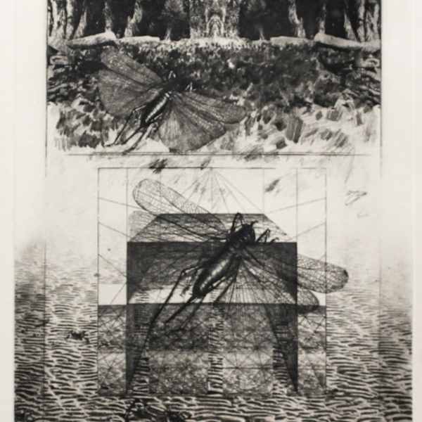 Marauders I by Kenneth Kerslake, Image 1.