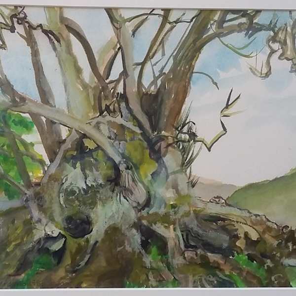 Chesilborough Hill, Somerset by Susan Anderson, Image 1.