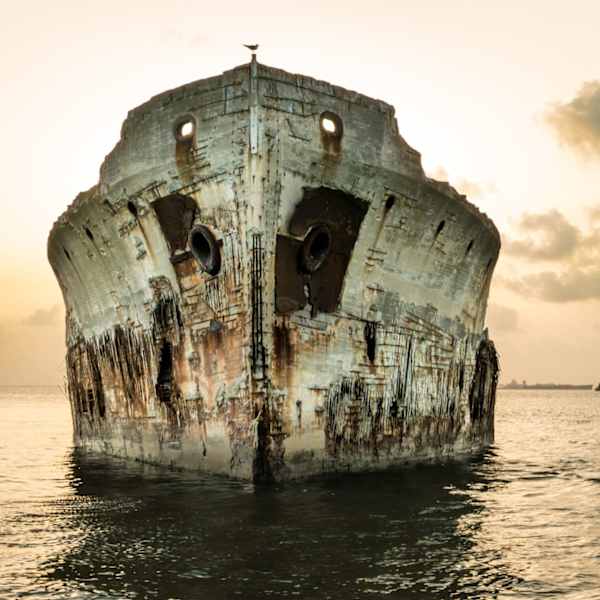 SS Stella - Scuttled 1922 by Donald N. Westheimer, MD, Image 1.