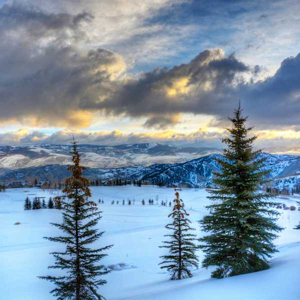 Winter Evening by Michele Brinkley, MD, Image 1.