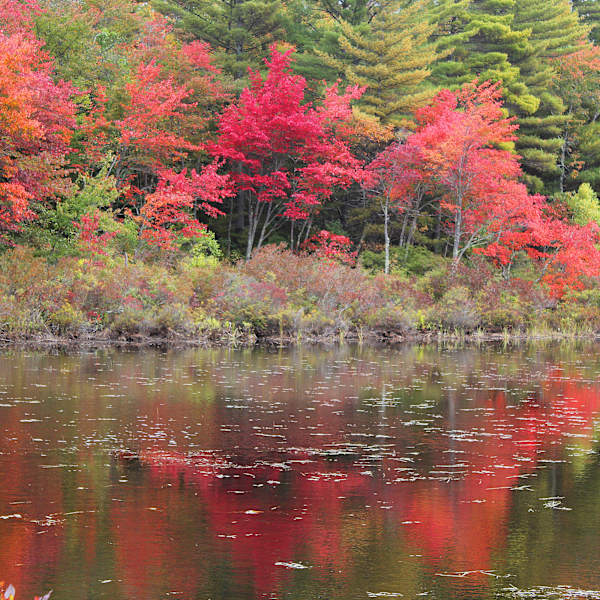 Changing of the Seasons II by Darrell Clapp, Image 1.