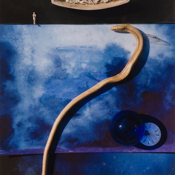 Boat With Snake by Maggie Taylor, Image 1.