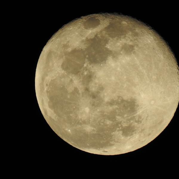 Texas Spring Full Moon by Carlos El Tallawi, MD, Image 1.