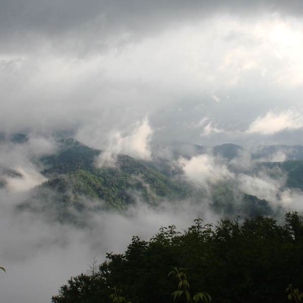 A View from Heaven by Sandra Brodine, Image 1.