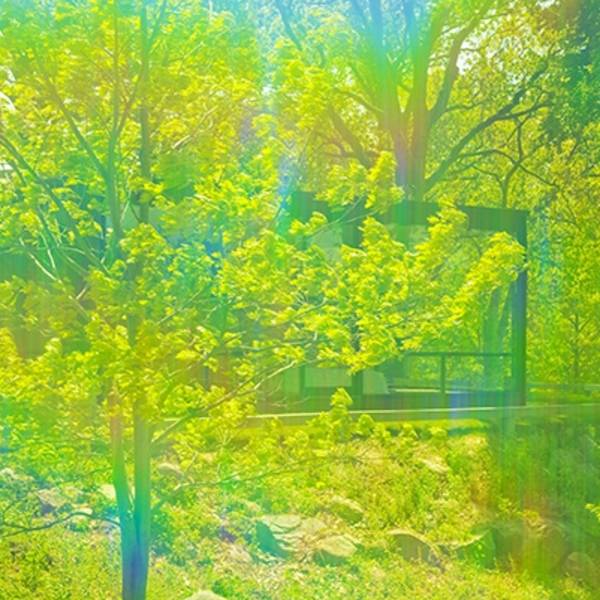 6629 by James Welling, Image 1.