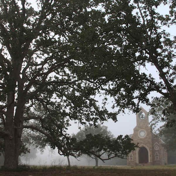 In Stillness, I Hear My Father by Luz A. Venta, MD, Image 1.