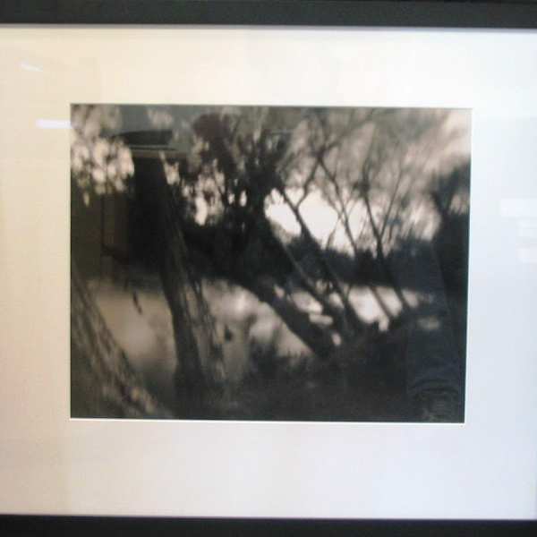 Untitled (From Earth to Water Series) by Pam Ellerbrock, Image 1.