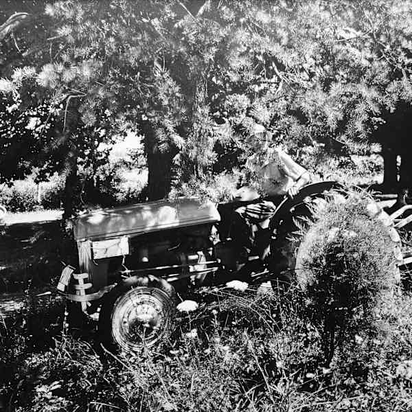 Mr. Poole, Monrovia, Maryland by Frank P. Herrera, Image 1.