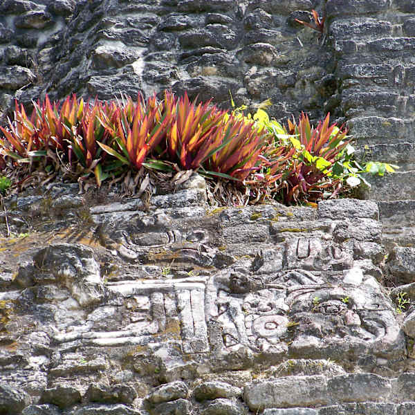 On Mayan Ruins by Joy Shiller, Image 1.