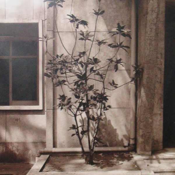 Vietnam by E. Wright Ledbetter, Image 1.