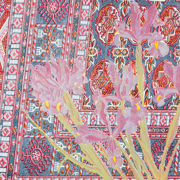 Dutch Iris on Bokara by Laura Grosch, Image 1.