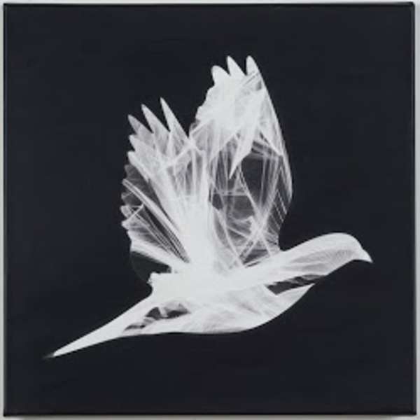 Flight by Lori Lejeune, Image 4.
