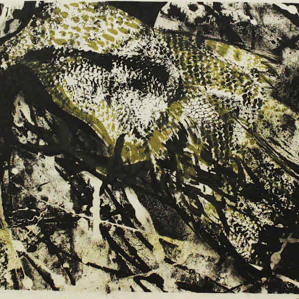 Fowl Play by James A. Walker, Image 1.