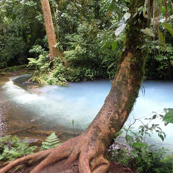 Tranquil Waters by Chrysta Lloyd, Image 1.