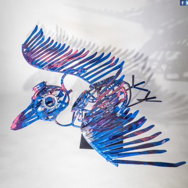 Swooping Heron by Dave Dunn, Image 2.