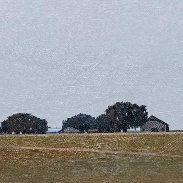 Gadsen County Tobacco Farm by Dean Mitchell, Image 1.