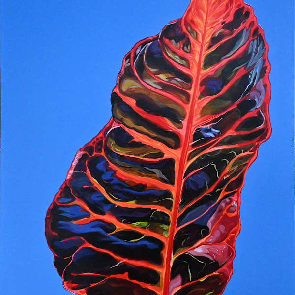 Red Croton by Ana Balcazar, Image 1.