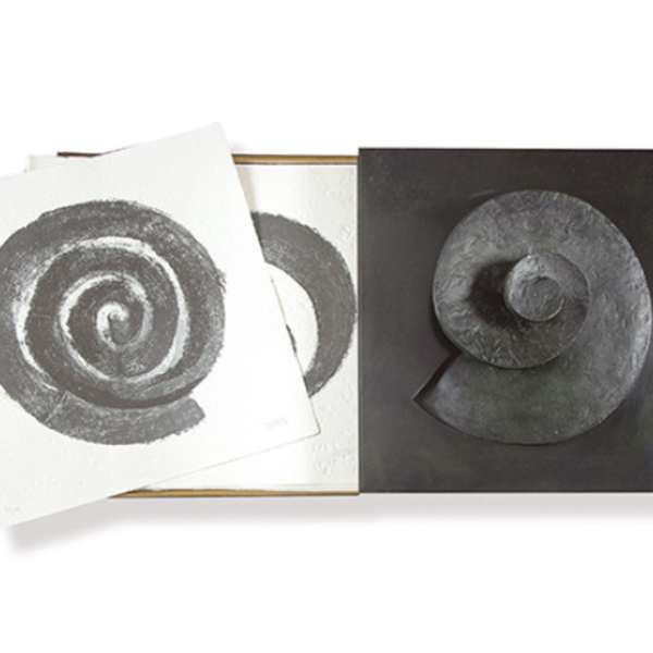 Espiral. Naturaleza, Simbología y Cosmos by Martín Chirino, Image 1.