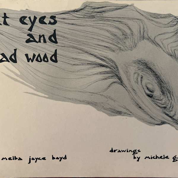 Cat Eyes & Dead Wood by Melba Joyce Boyd, Michele Gibbs Russell, Image 1.