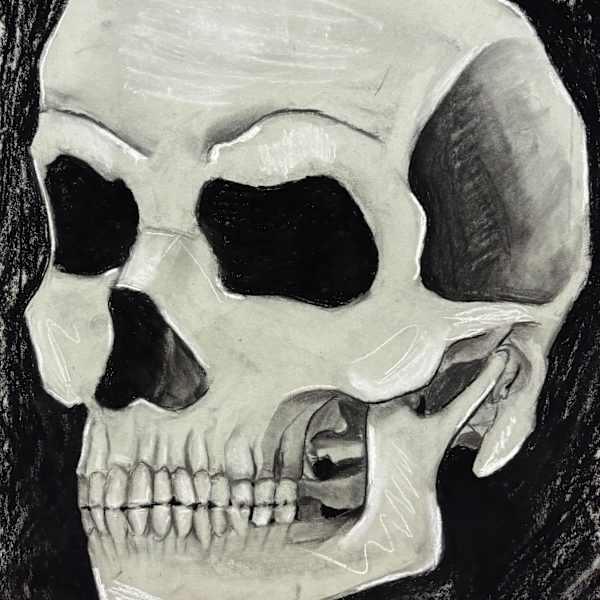 Skull 1 by Aniyah Mangum, Image 15.