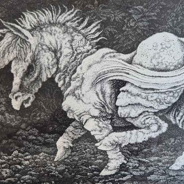 Einhorn by H. König, Image 3.